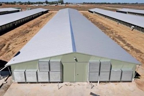 Q235B Σιδηροδρομική δομή Κτίριο πουλερικών με διάρκεια ζωής 50 ετών