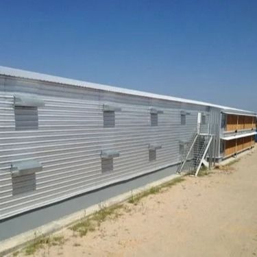 Προσυσκευασμένη δομή φωτισμού από χάλυβα για το υπόστεγο πουλερικών Q235B Q355B