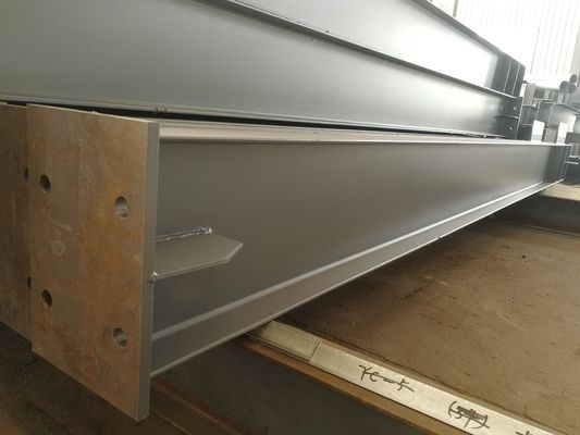 Προσαρμοσμένη κατασκευή χάλυβα δομή κτίριο κατασκευαστικά υλικά αποθήκη εργοστάσιο hanger κρύο αποθηκευτικό κτίριο
