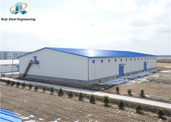 Qingdao κατασκευή Επαγγελματική σχεδίαση Προσαρμοσμένη χάλυβα δομή Προετοιμασία εργοστάσιο