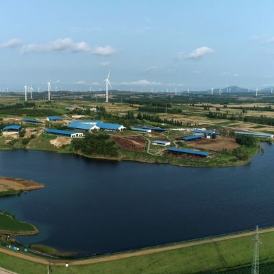 Προκατασκευασμένη Ατσάλινη Δομή Μονάδα Στέγασης Αγελαδοτροφείου από Χάλυβα με Ανθεκτική Επεξεργασία Επιφάνειας και Μεγάλη Διάρκεια Ζωής