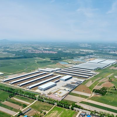 Σχεδιασμός Προμήθεια Σύγχρονη Ατσάλινη Δομή Στέγης Γαλακτοκομικής Φάρμας Μεταλλικό Στέγαστρο Βοοειδών Με Σύστημα Αερισμού