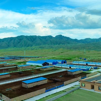 Προκατασκευασμένη Ατσάλινη Δομή Μονάδα Στέγασης Αγελαδοτροφείου από Χάλυβα με Ανθεκτική Επεξεργασία Επιφάνειας και Μεγάλη Διάρκεια Ζωής