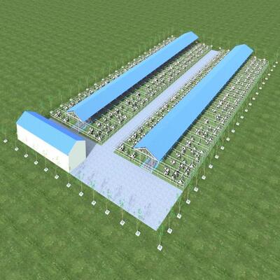 Σχεδιασμός Προμήθεια Σύγχρονη Ατσάλινη Δομή Στέγης Γαλακτοκομικής Φάρμας Μεταλλικό Στέγαστρο Βοοειδών Με Σύστημα Αερισμού