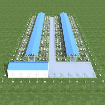 Steel Structure Cattle Shed for Livestock Farming